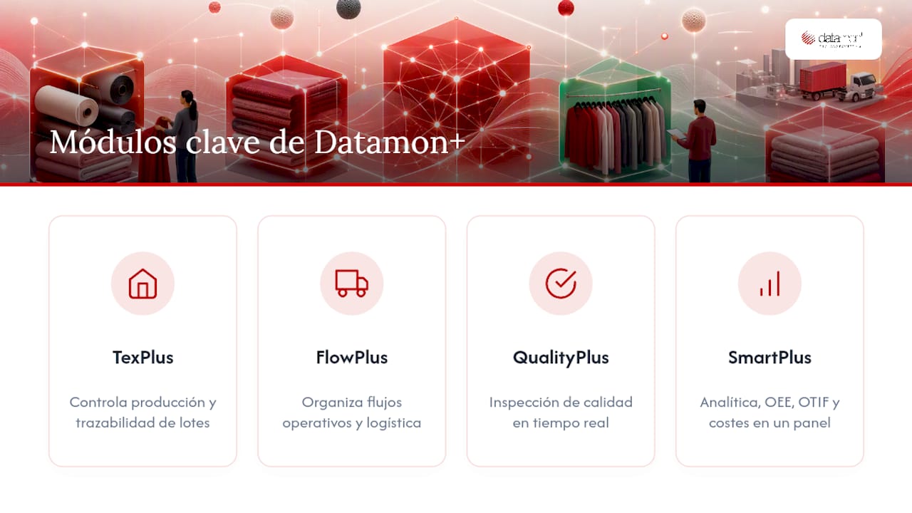 Cómo Datamon+ ayuda: módulos, tiempos de implementación y ROI — overview diagram